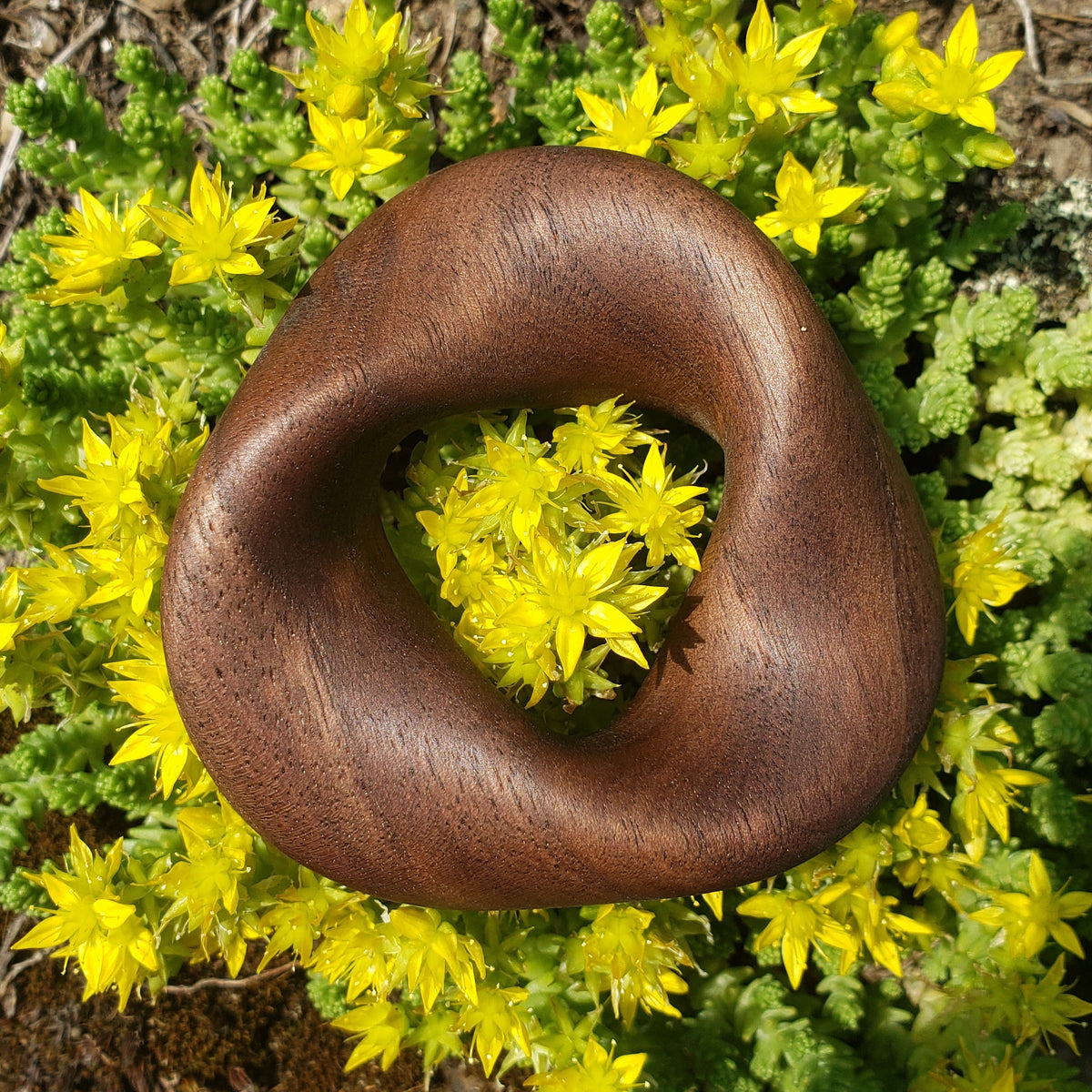 Triple-Twist Möbius