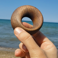 Mono-Twist Möbius